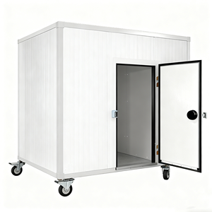 <span class=keywords><strong>Chambre</strong></span> <span class=keywords><strong>froide</strong></span> portable, congélateur à marche lente, conteneur de stockage de poulet, congélateur à basse température, <span class=keywords><strong>chambre</strong></span> <span class=keywords><strong>froide</strong></span> - Product Image 3