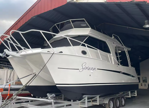 Poseidon 29ft m قارب صيد من الألومنيوم قارب صيد للبيع - Product Image 2