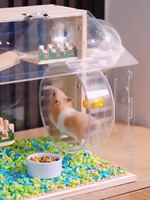 Kandang Hamster Kayu Dengan Panel Akrilik, Habitat Hewan Peliharaan Bergaya Villa Bertingkat Untuk Hewan Kecil, Penggunaan Dalam Ruangan