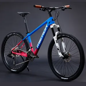 2022 hot sale Carbon fiber MTB cheap price race adult high quality can OEM custom carbon fiber frame road bike bicycle