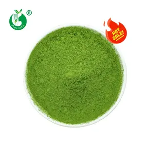 Matcha orgánica con Etiqueta Privada, té verde puro 100% Natural, polvo de Matcha ceremonia, venta al por mayor, muestra gratis