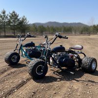 Nuevo Mini Go-Kart con Motor de Gasolina de 212cc y Cuatro Tiempos, Llantas Antideslizantes de 5 Pulgadas, Estructura Metálica Resistente, Velocidad Máxima de 60km/h, Frenos de Disco