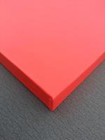 Tapis de judo Tatami utilisés pour le grappling à vendre