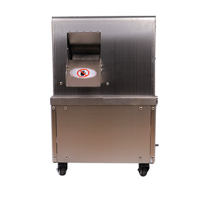 Extracteur de jus de canne à sucre électrique de table Eternal Crown 0,35 kW en acier inoxydable, machine commerciale pour fruits et légumes - Product Image 1