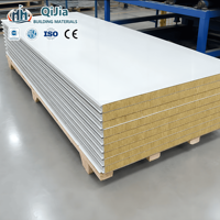 Panneau sandwich en laine de roche ignifuge, isolant thermique et acoustique, pour murs et toitures, panneaux en laine de roche pour salles blanches