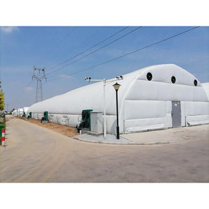 Invernadero para Cultivo de Hongos con Control Climático Inteligente y Estructura de Acero Personalizable - Product Image 1