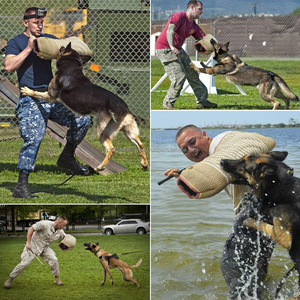 Dog Bite Training Set Dog Bite Sleeve Arm with Training Stick Training Protection Equipment for <b>Biting</b> Playing Toy Interactive - Product Image 3