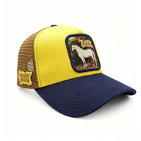 Casquettes de camionneur Richardson 112 à 5 panneaux, broderie, snapback, patchs animaux, gorras para personalizar, casquette de camionneur personnalisée, haute qualité