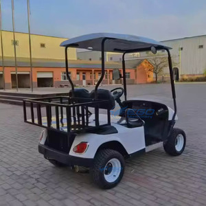 Voiturette de golf électrique la plus vendue, alimentation directe usine, batterie au plomb haute puissance, structure en acier, capacité 2 personnes, meilleur prix - Product Image 4