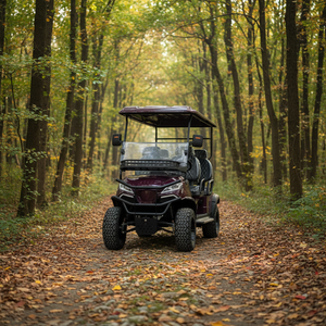 Carrito de <span class=keywords><strong>Golf</strong></span> <span class=keywords><strong>El</strong></span>éctrico HuSurg de 6 Plazas con Freno de Disco Delantero, Autonomía de 70-90 km, Modelo Personalizado para Exportación a China - Product Image 6