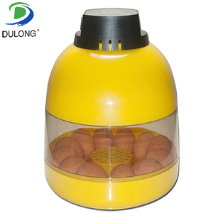 Incubadora Automática de Huevos de Gallina de Construcción Duradera y Recuperación Instantánea al Mejor Precio, Apta para Uso Agrícola - Product Image 1