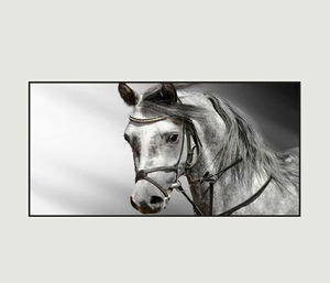 Huamiao New Arrival Living Room Decor Frame Moderno Cavalo Branco e Preto animal Porcelana Cristal Pintura arte da parede - Product Image 2