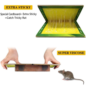 Piège à rats collant professionnel Instant Catch, parfumé à l'arachide, pour intérieur et extérieur - Product Image 6