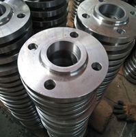 Bride en acier au carbone ASTM A105 ASME B16.5 Classe 150 RF pour système de pipeline pétrolier, gazier et hydraulique