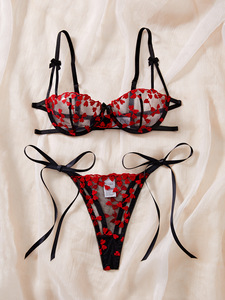 Wholesale Heart Embroidery Lace Lingerie <b>Set</b> <b>Sexy</b> Sheer Mesh Underwire Bra and Tie Side Thong Panties <b>Set</b> 2 Piece Intimates <b>Set</b> - Product Image 3