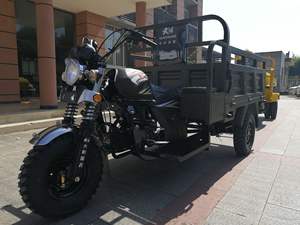 China bien vender camión rickshaw <span class=keywords><strong>carga</strong></span> gasolina motos 150 200cc motorizado rueda grande Motor <span class=keywords><strong>de</strong></span> potencia Triciclo <span class=keywords><strong>de</strong></span> <span class=keywords><strong>carga</strong></span> en Indonesia - Product Image 3
