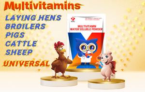 Chất kích thích sự thèm ăn cho gia súc và cừu gia súc và bột hòa tan đa vitamin cừu làm tăng sự phát triển của động vật - Product Image 5