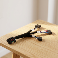 Kabel Harness Lampu Kabut, Kabel Harness Listrik, Rangkaian Kabel, Kabel Harness Jantan-Betina, Kabel Ekstensi OEM