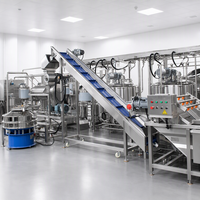 Ligne de production de machines pour la fabrication de purée, de pulpe, de jus, de sauce, de ketchup et de confiture de tomates et mangues