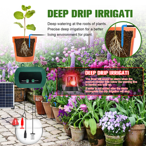 Kit de globes <span class=keywords><strong>d</strong></span>'<span class=keywords><strong>arrosage</strong></span> pour serre de jardin, micro-pompes <span class=keywords><strong>à</strong></span> <span class=keywords><strong>goutte</strong></span> <span class=keywords><strong>à</strong></span> <span class=keywords><strong>goutte</strong></span>, équipement <span class=keywords><strong>d</strong></span>'hydroponie solaire, système <span class=keywords><strong>d</strong></span>'irrigation automatique <span class=keywords><strong>à</strong></span> <span class=keywords><strong>goutte</strong></span> <span class=keywords><strong>à</strong></span> <span class=keywords><strong>goutte</strong></span> - Product Image 3