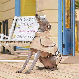 Grosir kustom Dachshund pakaian anjing padat Ramah Lingkungan Mewah klasik musim dingin jaket mantel hewan peliharaan jaket untuk Natal - Product Image 4