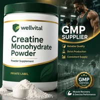 Fournisseur GMP de poudre de créatine monohydrate pour la récupération musculaire et les performances sportives