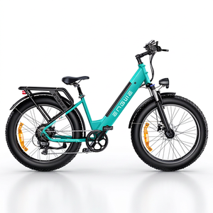 ENGWE E26 Pneus tout-terrain à huile pour neige Version UE 250W 26*4.0 pouces 48V16Ah 140KM Nouveaux produits sur le marché Vélo de montagne E26-EU 26*4.0 pouces - Product Image 1