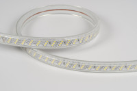 Bande lumineuse LED IP65 220V SMD2835 12mm 100M, guirlandes lumineuses en PVC, haute efficacité, étanche pour extérieur