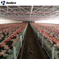 IBeehive - Structure en acier industrielle résistante aux intempéries - Poulailler pour 2000 poulets - Anti-fuite - Poulailler préfabriqué