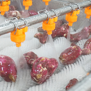 Cepillo de pulverización eléctrico Tipo de lavado Fresa <span class=keywords><strong>Sandía</strong></span> Cantalupo Tomate Lavadora de batata - Product Image 3