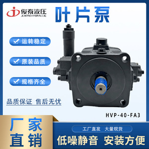 Pompe à palettes variables Juntai HVP-40-FA3 40 C/min 140 Kg/cm pour machines hydrauliques - Product Image 5