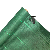 Toile de paillage verte en PP, haute résistance, anti-UV, pour couverture du sol