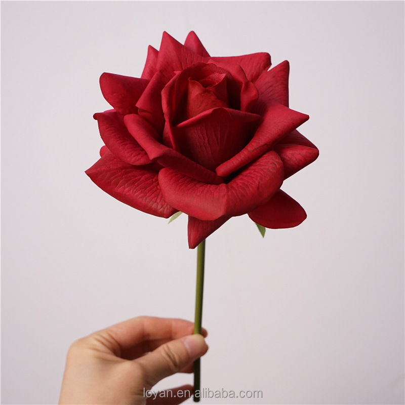 #5 rojo