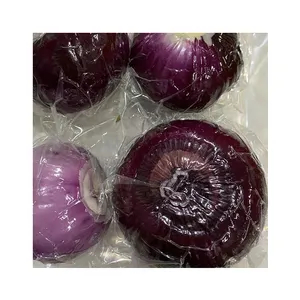 China Supplier Wholesale Fresh Onions Vacuum Natural Fresh Purple Fresh Onions