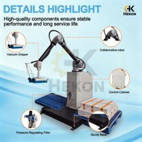 Paletizador Robótico de Alta Velocidad HEKON, Sistema Automático de Paletización, Robot para Paletizar Cajas, Bolsas, Alimentos y Bebidas