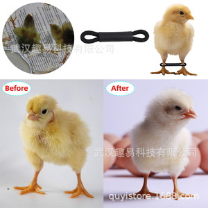 Support de jambe en plastique pour poussins, protège-pattes pour l'assistance à la croissance des jeunes poulets - Product Image 4
