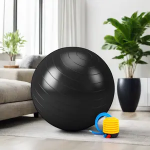 Boga Sports Anti-Burst Exercise PVC Material for Fitness and Wellness Yoga Ball