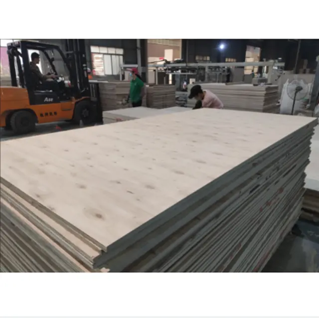 GuangXi top export 4*8ft eucalyptus plywood Melamine board