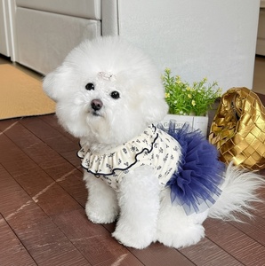 Nouvelle Collection Printemps-Été : Vêtements pour Chiens et Chats à Volants et Motifs Floraux, Modèle Court, Vente en Gros Transfrontalière pour Bichon - Product Image 2