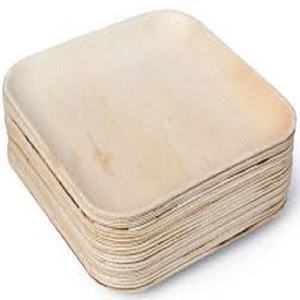 Plats et assiettes légers et écologiques en feuilles d'areca Conception de plantes durables pour les aventures en plein air pour les ustensiles de cuisine de camping - Product Image 3