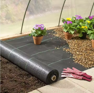 Película de mantillo de plástico negro, cubierta de suelo agrícola, tela antihierba con agujeros - Product Image 6