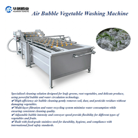 Automatische luchtbel-groente- en fruitwasser voor appels, peren, mango's, inclusief wassen, plukken, snijden, blancheren en diepvriesgroentenlijn.