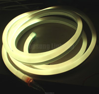 Topsung – dévisseur de tube de tuyau numérique pour bandes lumineuses led 10x20mm dmx 512 rgbic led bandes lumineuses ip65