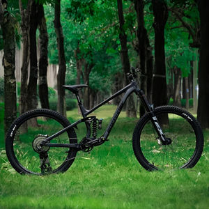 Bicicleta de Montaña Profesional de Aluminio con Suspensión Completa de 4 Brazos, 29er <span class=keywords><strong>Enduro</strong></span> MTB de 12 Velocidades para Trekking - Product Image 6