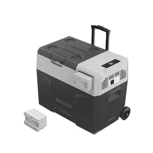 Compresseur Alpicool de 40l, avec poignée télescopique, pour voiture, camion, remorque de voyage, frigo, prix glacière, ECX40