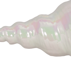 Scultura Decorativa a Forma di Conchiglia Marina, Statua Costiera per Soggiorno, Bagno, Ufficio, Arredamento Casa - Product Image 5