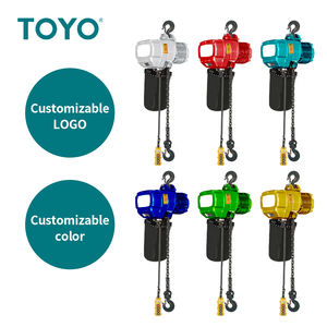 Offre Spéciale Japon Toyo Palan à chaîne 150Kg 500 Kgs sur roues pour grue - Product Image 3