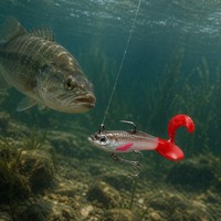 Señuelo de Pesca Suave con Cola Rizada Roja y Cabeza Plomada - Swimbait para Lubina de Agua Dulce
