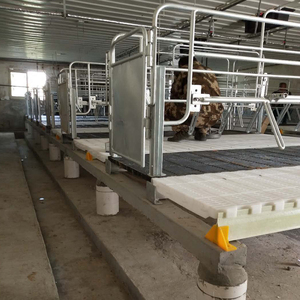 1.8*2.4 Farrowing Bed Mother Pig Piglets with Cast Iron <b>Plastic</b> Floor Pig Cage - Product Image 4