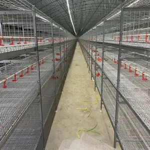 מכירה לוהטת עופות חוות תרנגולות מטילות משמש שכבה סוללה עוף כלוב פחמן פיליפינים כסף אביזרי פלדה סין טנק פטמה